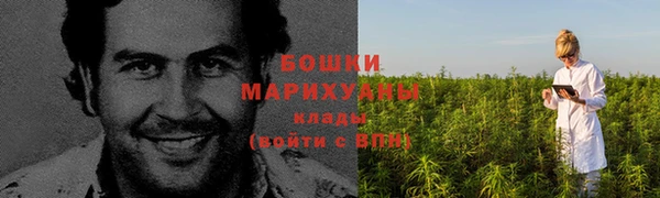 хмурый Дмитров
