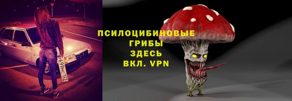 не бодяженный Гусь-Хрустальный