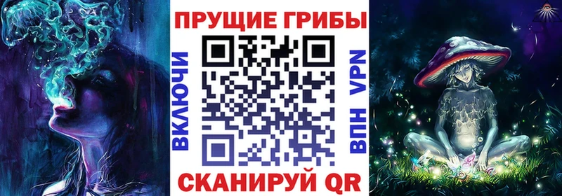 даркнет сайт  Емва  Галлюциногенные грибы GOLDEN TEACHER 